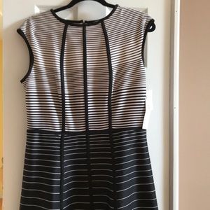 NWT Super cute a-line dress!